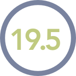 19.5 icon 19.5 icon