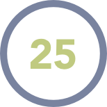 25 icon 25 icon